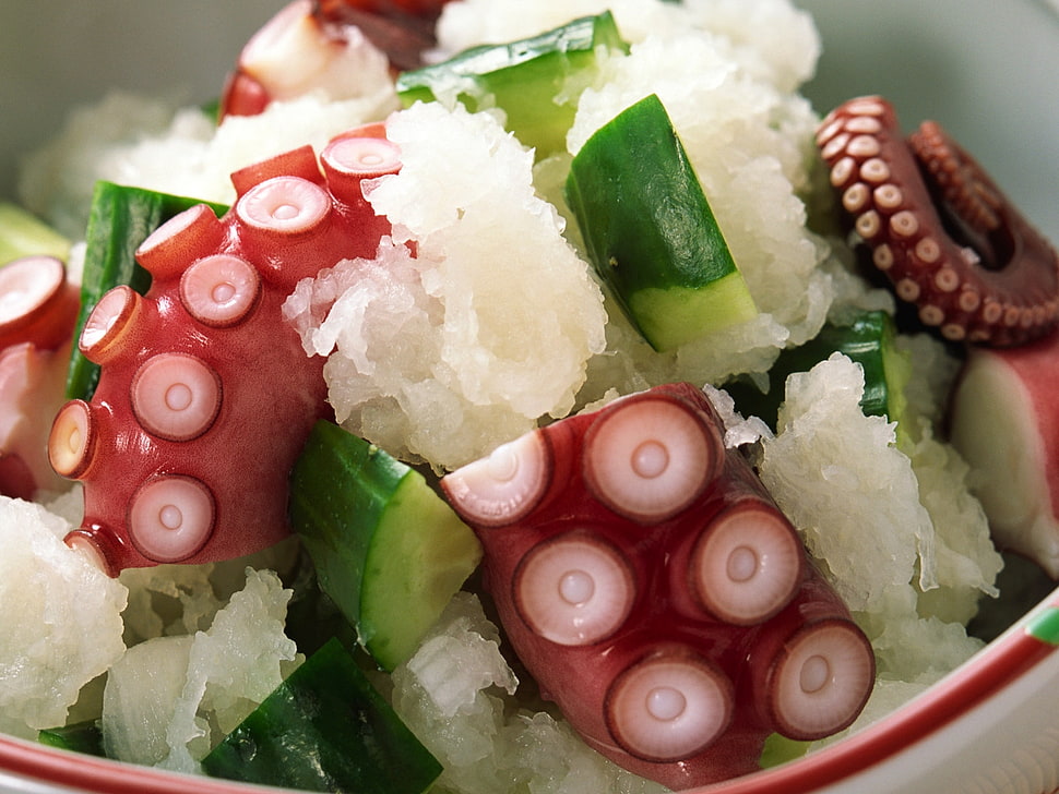 closeup photo of octopus tentacles, cucumber with rice HD wallpaper