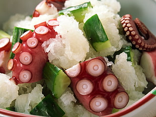closeup photo of octopus tentacles, cucumber with rice