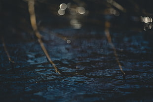 body of water, Water, Glare, Circles HD wallpaper
