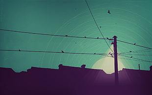 silhouette of electric post during daytime, artwork, sky, rooftops, birds HD wallpaper