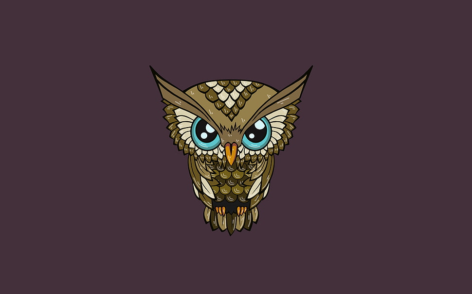 brown owl illustration HD wallpaper