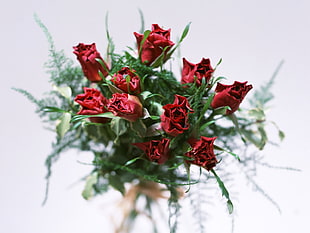 Roses,  Flowers,  Bouquet,  Decoration