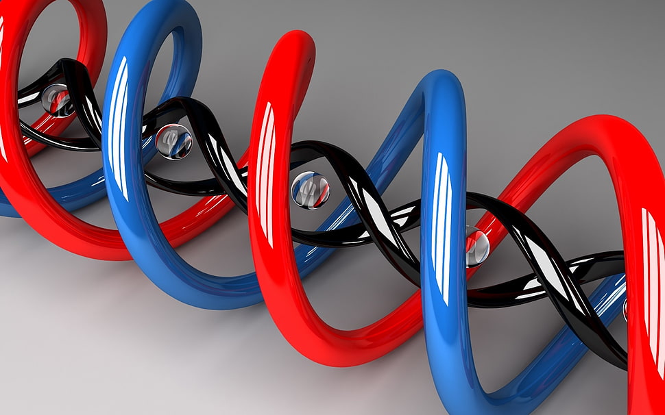 red and blue DNA helix Graphic illustration HD wallpaper