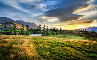 grass field, nature, grass, sunset, clouds