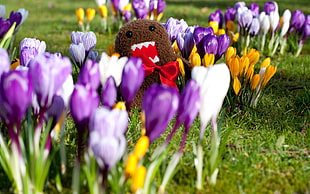 selective focus photography of Domo Kun on tulips flowers HD wallpaper