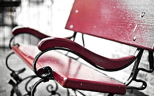 black and red metal framed wood-top patio benc, bench, selective coloring, depth of field