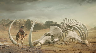 white dinosaur skull, digital art, desert, skeleton, mammoths HD wallpaper