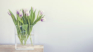 clear glass vase, flowers