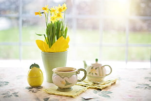 dept of field photography yellow petaled flowers in green vase