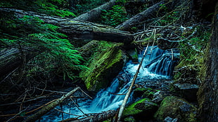 landscape photography of a water falls