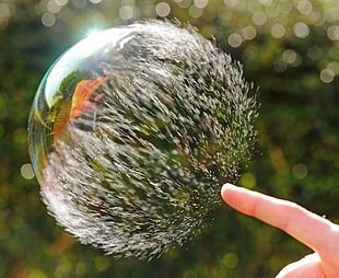 bubble, bubbles, depth of field