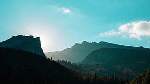 green mountains, landscape, mountains, forest