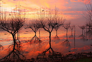 withered trees painting, nature, landscape, trees, branch