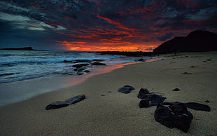 landscape photo of seashore