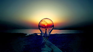 person holding light bulb near seashore
