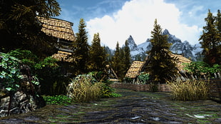 brown wheat house illustration, The Elder Scrolls V: Skyrim, ENB HD wallpaper