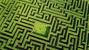 green and white chevron area rug, aerial view, labyrinth, maze