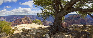 photo of Death Valley, California during daytime, grand canyon national park