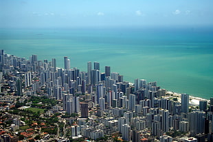 aerial view of urban area near body of water, recife HD wallpaper