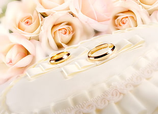two gold wedding bands on top of white textile near pink Rose flowers HD wallpaper