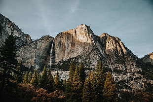 gray mountain rock, landscape, mountains, trees, forest HD wallpaper