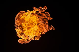 flame with black background HD wallpaper