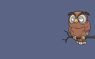 owl cartoon illustration