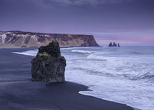 sea stock near sea shore under clear sky, black beach, iceland