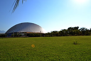 green grass field under sunny sky, summer, holiday