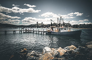 white boat on dock