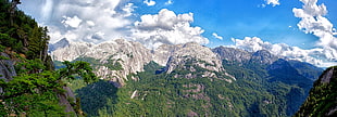 green tree, mountains, panoramas, forest, clouds