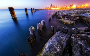 wood pillars on shore near city under clear blue sky HD wallpaper