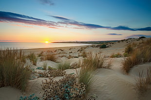 sunset view near beach wave