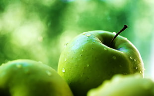 green apple, fruit HD wallpaper