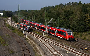 two red trains, nature, train, railway HD wallpaper