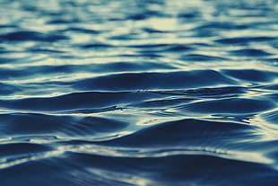 blue calm body of water, sea HD wallpaper
