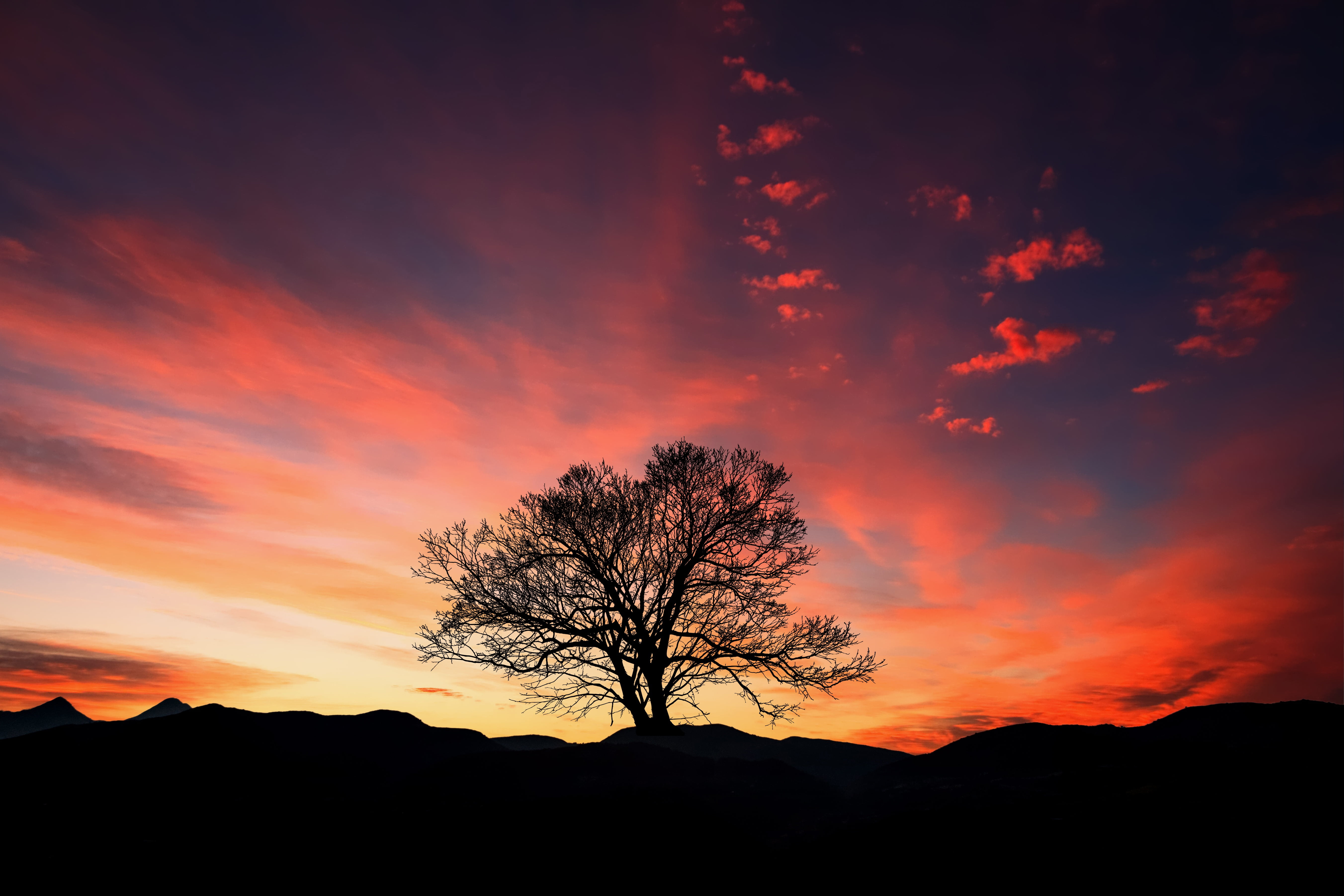 Wallpapers Of Sunsets Behind Trees » Arthatravel.com