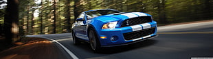 blue and white Ford Mustang on gray concrete road