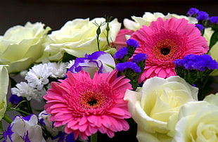 assorted color petaled flowers