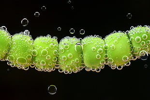 closeup photo of water drops and green beads HD wallpaper