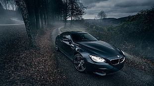 black BMW coupe, car, nature, trees, road HD wallpaper