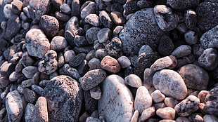 assorted brown and black stones, beach, stones HD wallpaper