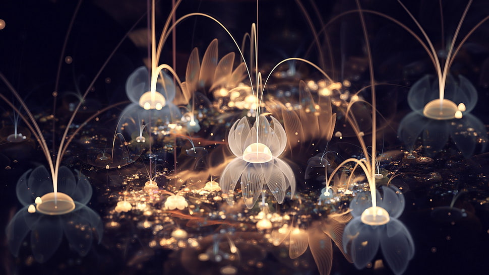 brown and white lights bokeh photo, fractal, fractal flowers, abstract HD wallpaper