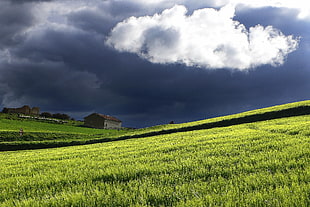 dark clouds over shack