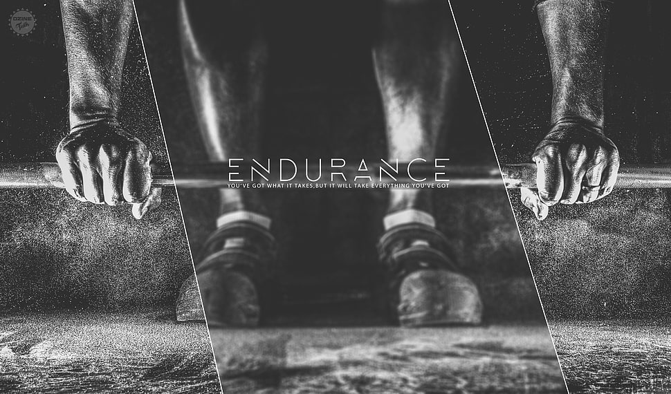 Endurance logo HD wallpaper