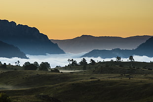 fog covering terrain on the foot of mountain during dawn HD wallpaper