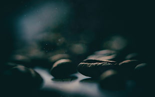 roasted coffee beans, coffee, food, closeup