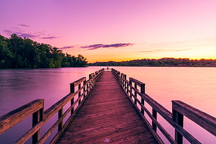 brown wooden sea dock HD wallpaper