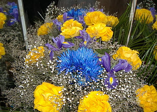 blue, purple, and yellow flowers HD wallpaper