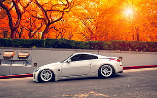 white sports car on gray pavement with orange foliage trees